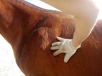 Dem Latissimus Dorsi, großer, breiter Rückenmuskel, wieder zu mehr Bewegungsspielraum verhelfen